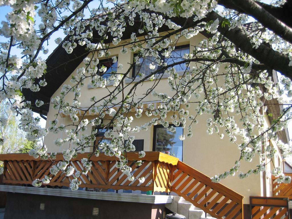 St. Michael Apartman Budapest Eksteriør bilde
